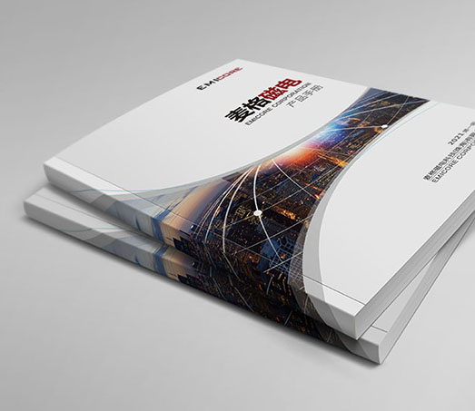 �����늿Ƽ����麣�����޹�˾---2021����I����